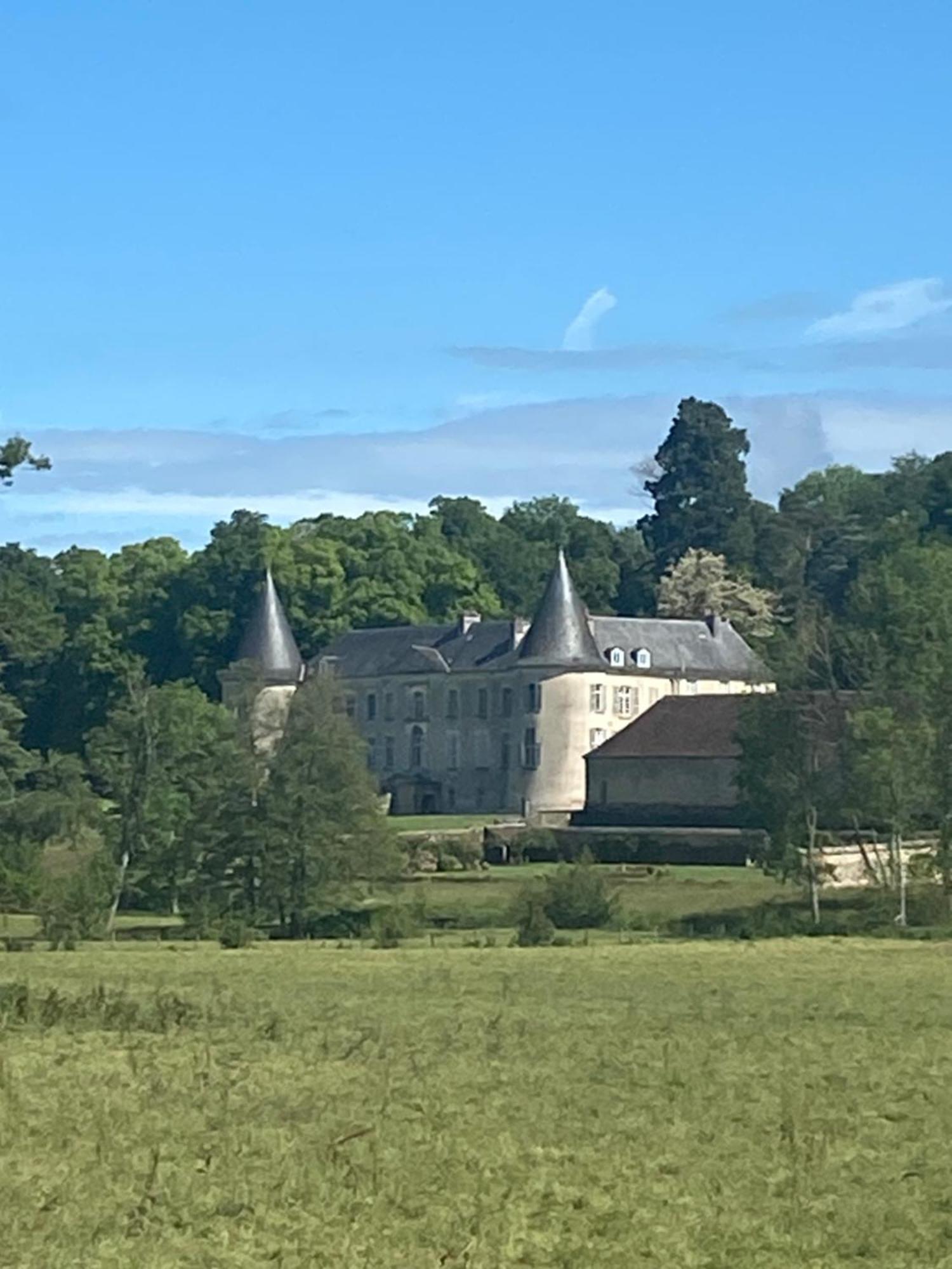 Chateau De Beaujeu Sens-Beaujeu Luaran gambar